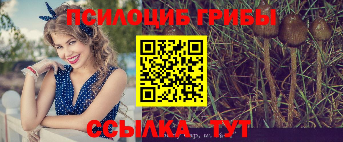 Галлюциногенные грибы Magic Shrooms Керчь