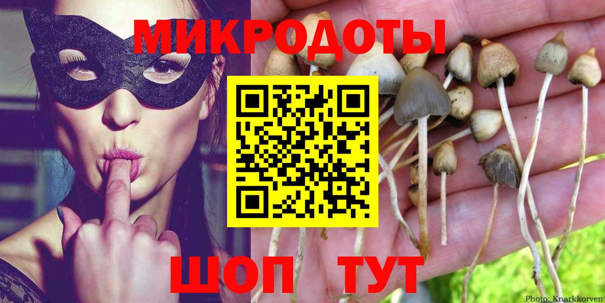 Галлюциногенные грибы MAGIC MUSHROOMS  Вход с VPN  Керчь  Псилоцибиновые грибы Cubensis 